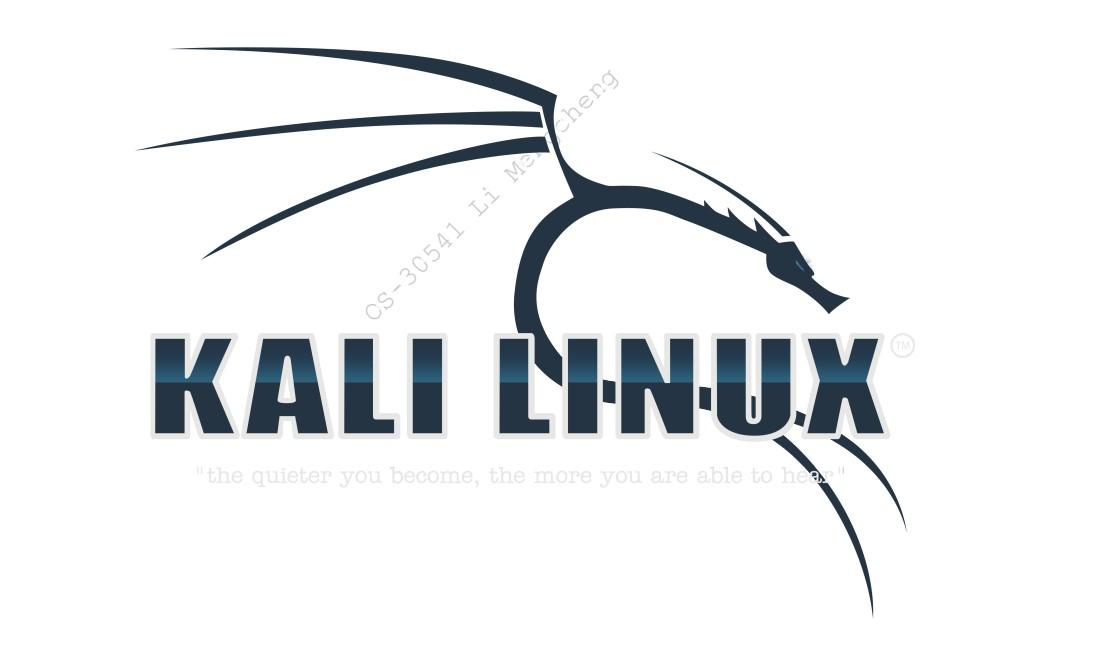 文檔基於kalilinux的滲透測試