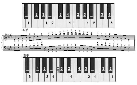 钢琴b调指法图图片