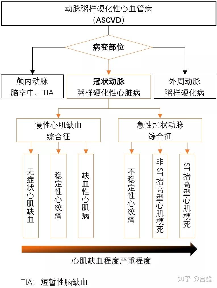 冠心病分类图片图片