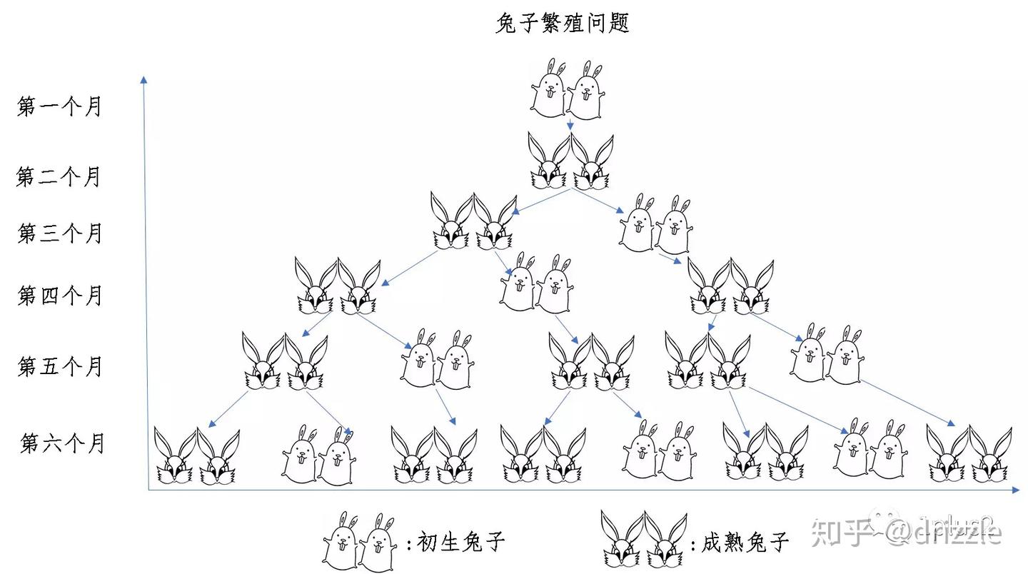 斐波那契数列|没事儿想想兔子繁殖问题，你也能成数学家- 知乎