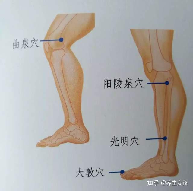 大腿胆经敲打图片