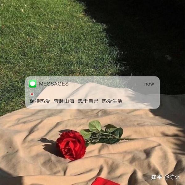 三观很正的爱情文案(三观很正的文案.)