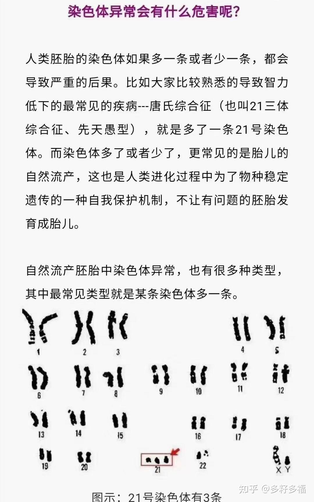 夫妻双方染色体都正常为什么胚胎异常呢