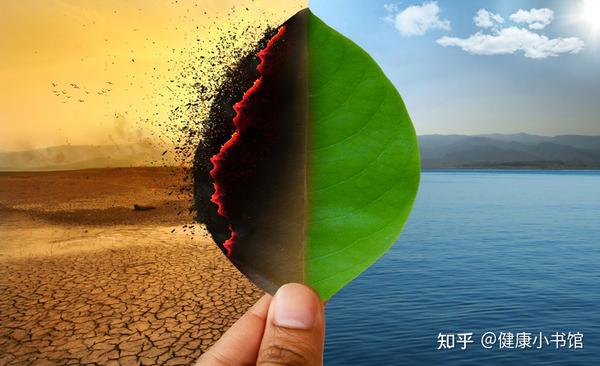 关于脾虚湿困,中医治疗和养生都是怎么做的? - 知乎