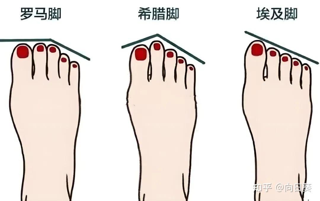 从相学中,希腊脚女人的命运走向如何