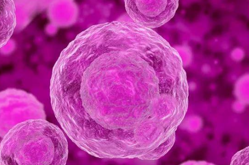 v2-3b9f2f301d6889e47a9c5bc5b759f8ca_1440w.jpg?source=172ae18b