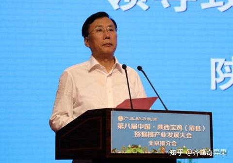 齐峰奇异果亮相中国陕西宝鸡眉县猕猴桃产业大会获京东亿元大单