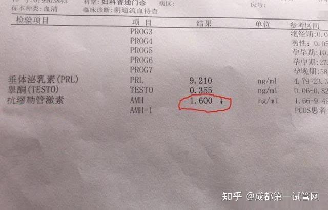 国内三代试管条件高龄