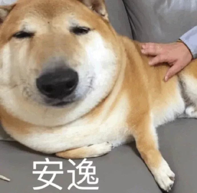 新年快乐是假的,想找你聊天是真的14.