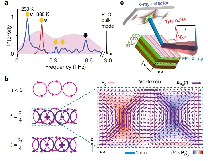中科大校友揭示铁电体材料小漩涡奥秘专访
