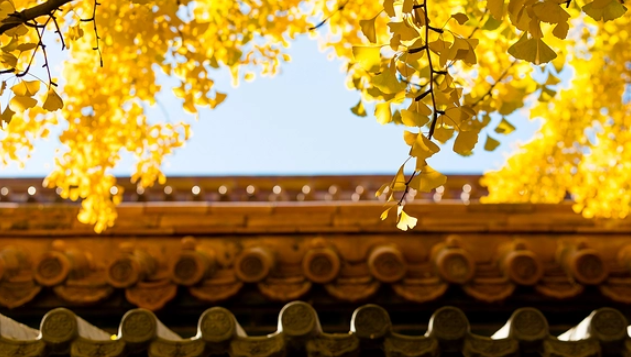 v2-3bc7058353e587996e3e05efa7108c00_1440w.jpg?source=172ae18b