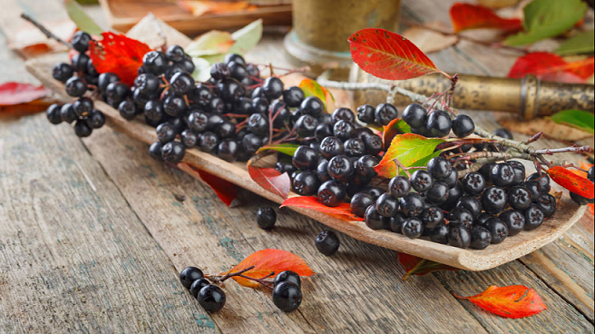 多功能的不老莓