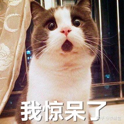 被吓到的表情包，我好怕哦 - 知乎