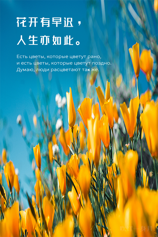 【俄语壁纸】俄语句子分享 - 知乎