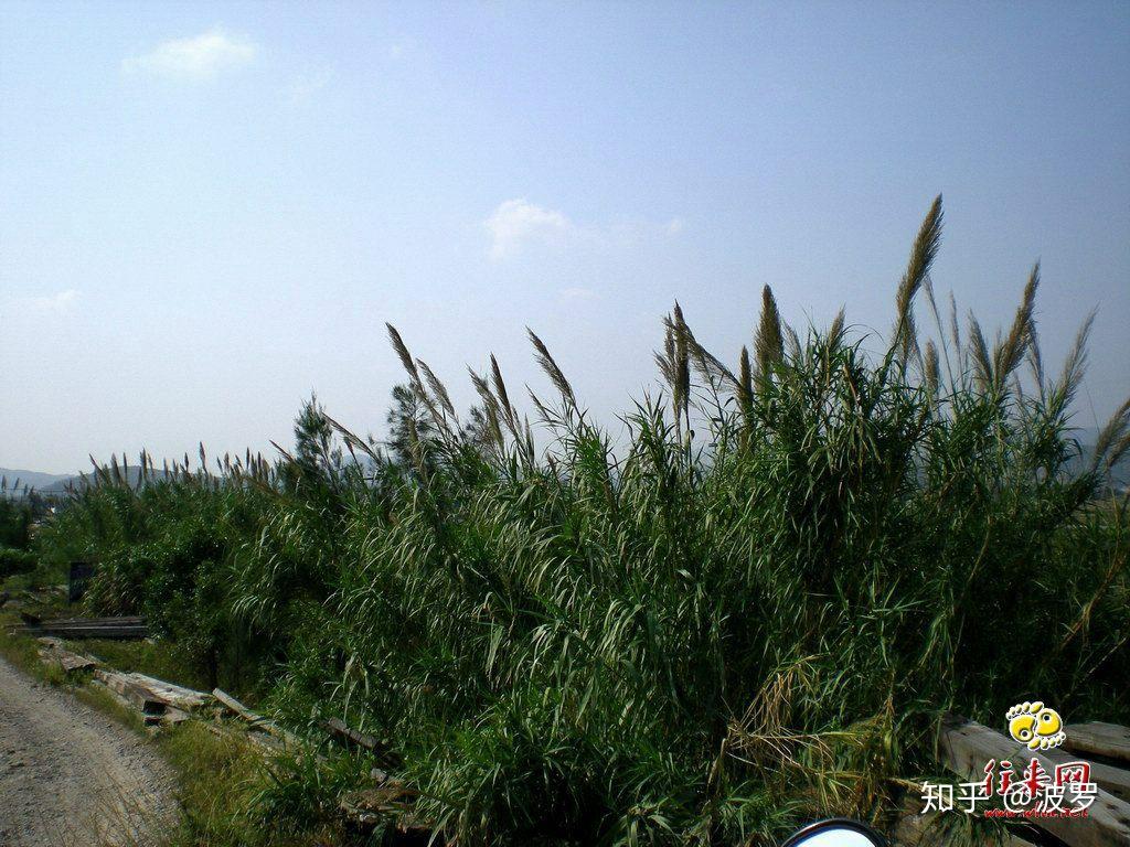 经过贝蒂凯曼博士二十多年坚持不懈的研究,她和她的团队终