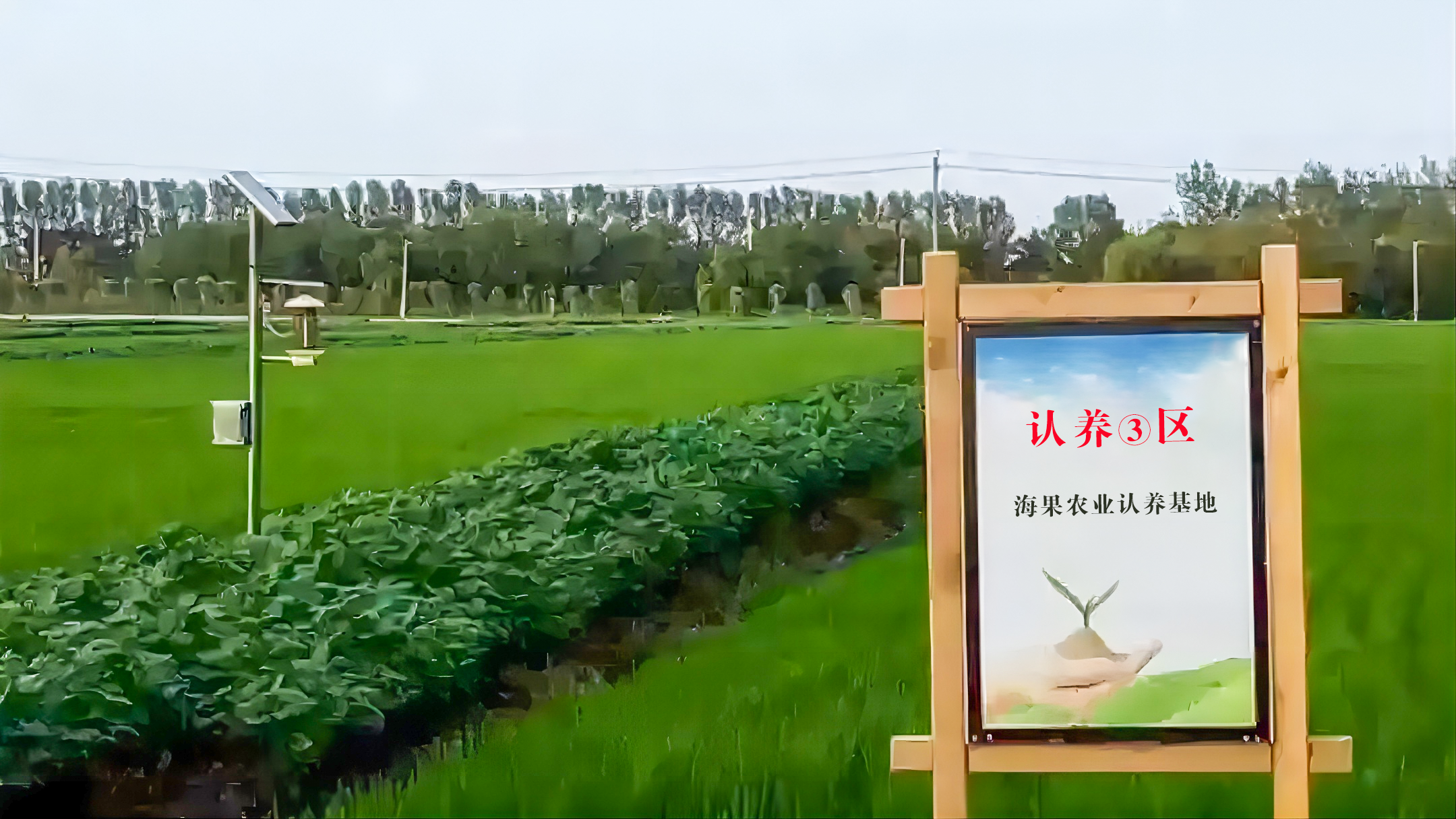 认养农业—新创业时代已经到来
