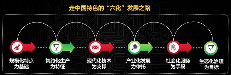 科学迎战三伏天,死鸡不增蛋不减 - 知乎