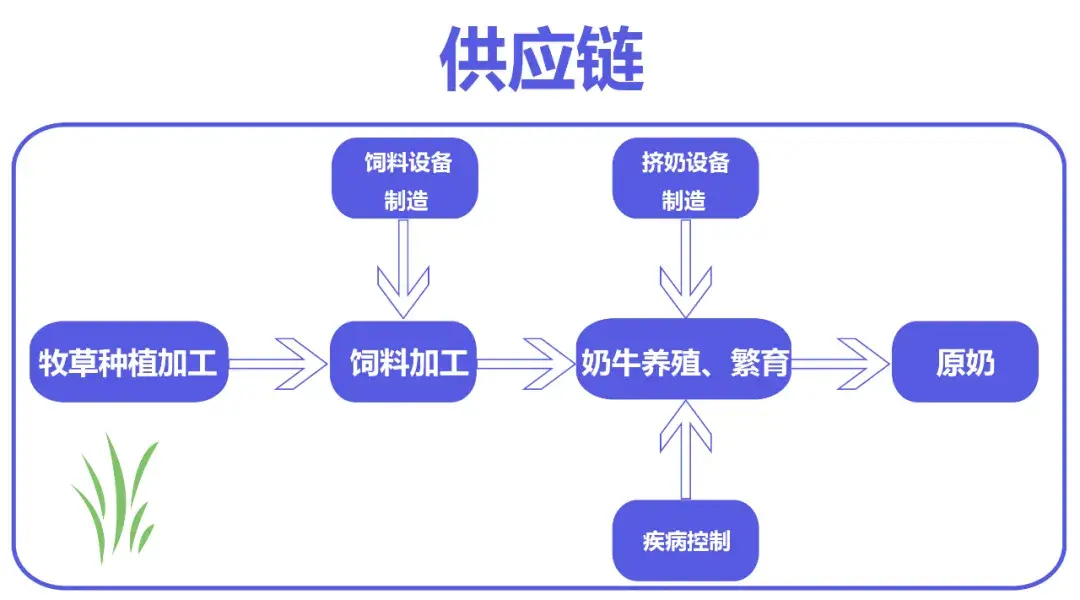 奶粉供应链模式图图片