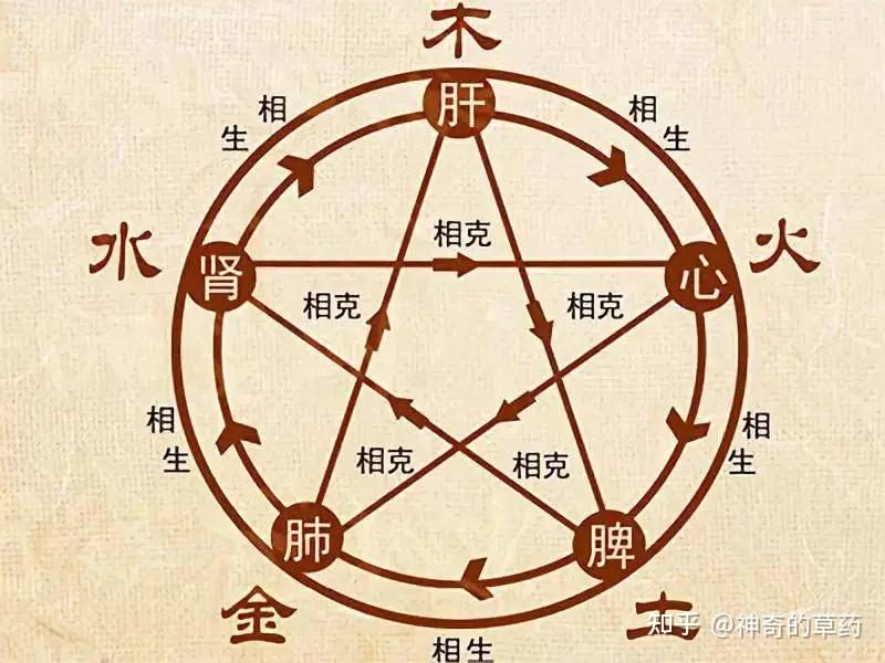 内伤脾胃,百病由生!脾胃属五行之土,如何“补土”? - 知乎
