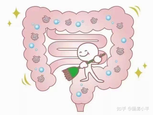 怎样给肠道排毒
