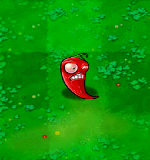 莲叶「lily pad」:王莲※如果你在普通的莲叶上放个核桃,莲叶马上翻