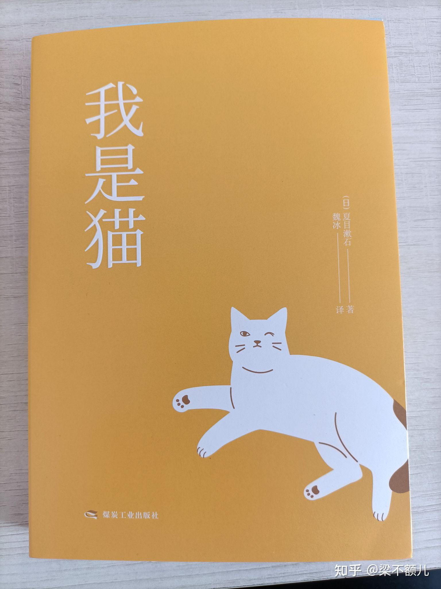 《我是猫》联想 - 知乎