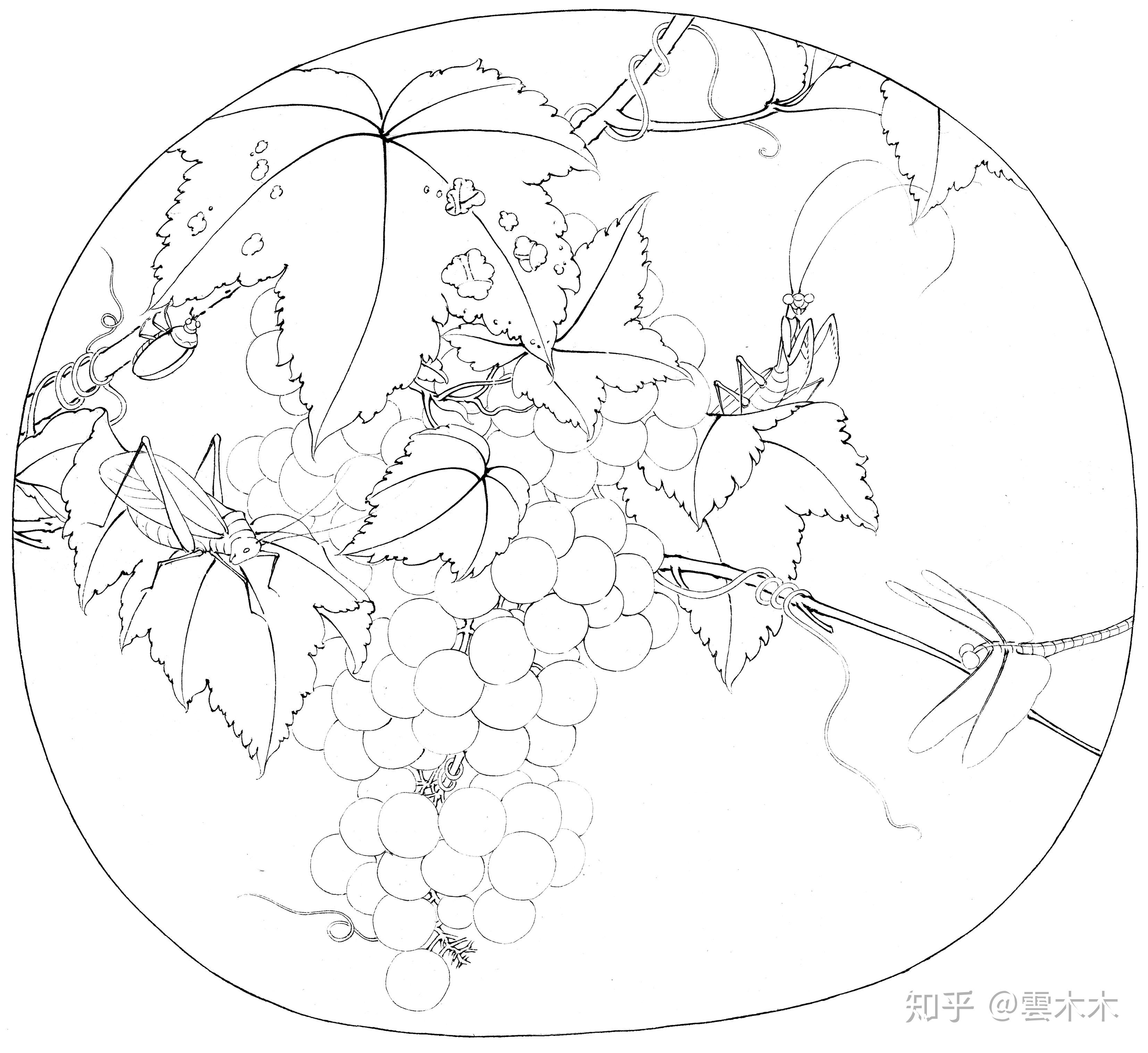 宋小品国画工笔,绘画步骤图《葡萄草虫图 》 尺寸:33×35cm - 知乎