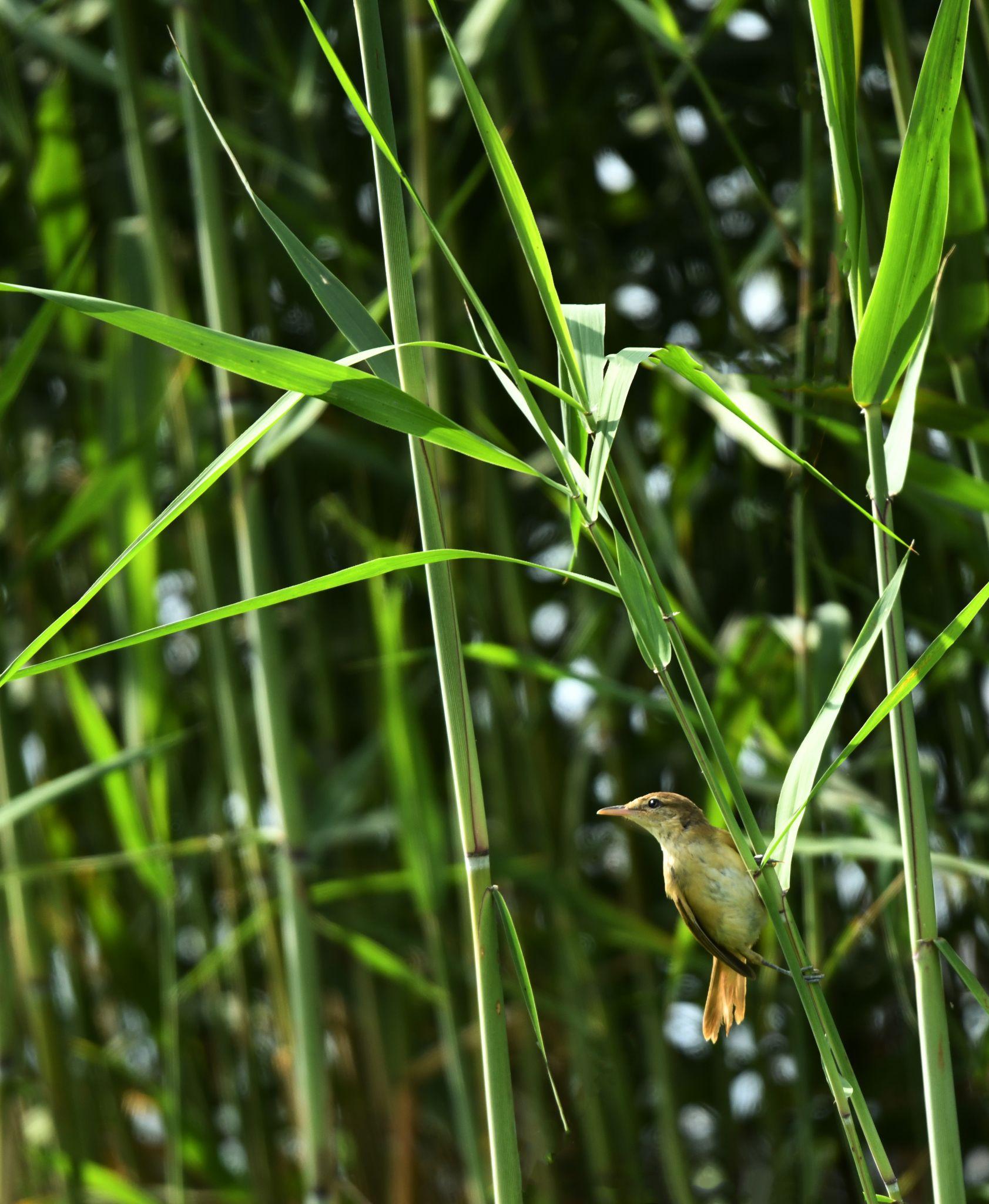 随拍随忆 - 知乎