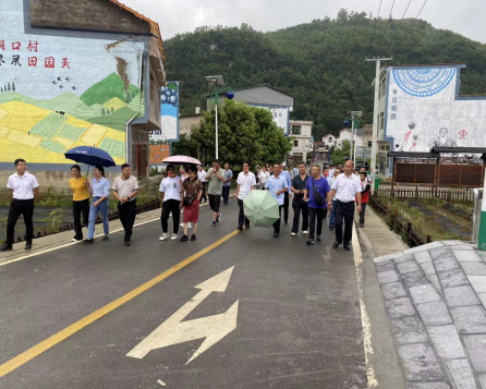 紫云县板当镇组织各级人大代表开展联动监督乡村振兴工作活动