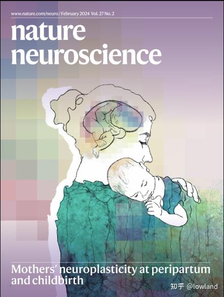 Nature Neuroscience 2024年二月刊封面 - 知乎