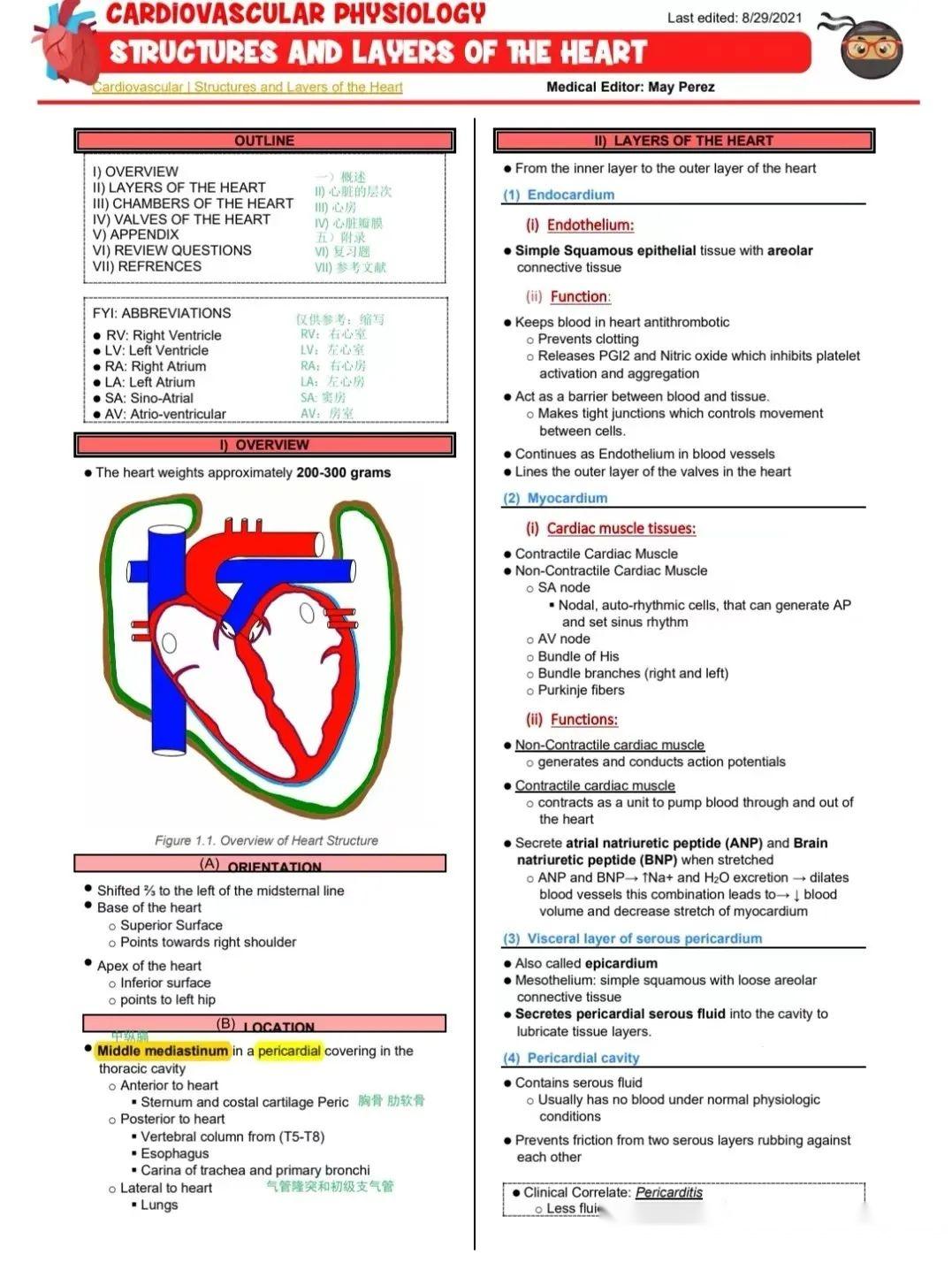 ninja-nerd-usmle-ninja-nerd-notes