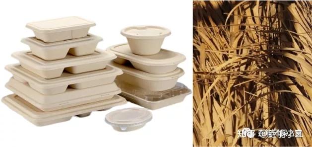 甘蔗渣纸浆模塑餐盒未来发展怎么样