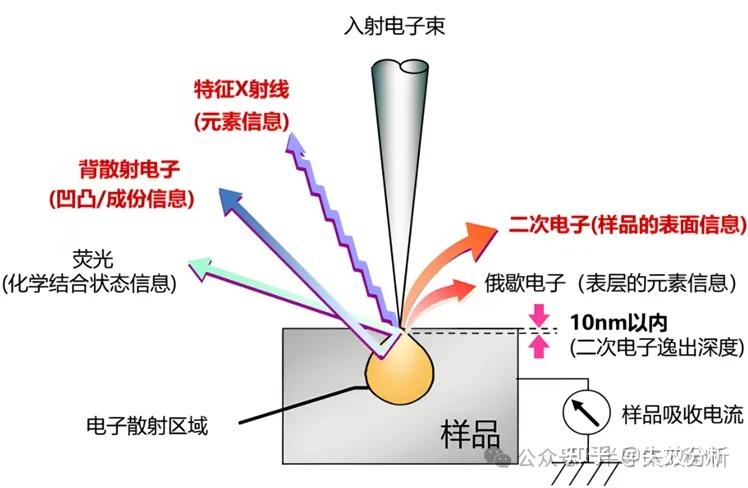 SEM 测试常见问题：形貌观察、成分分析与制样方法 - 知乎