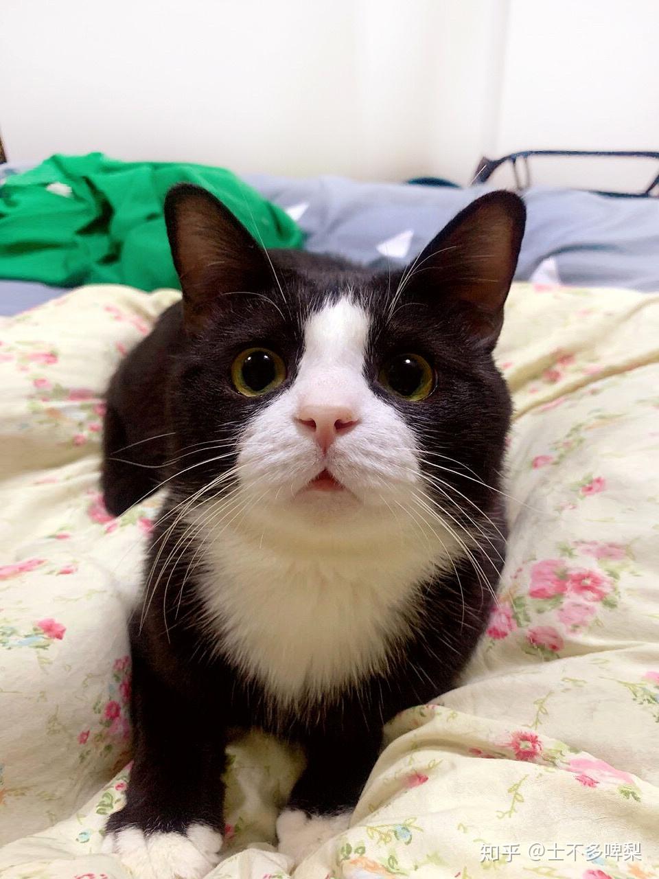 好事多魔 的想法: 啊啊啊啊啊啊啊啊啊啊啊啊啊啊啊啊啊啊啊… - 知乎