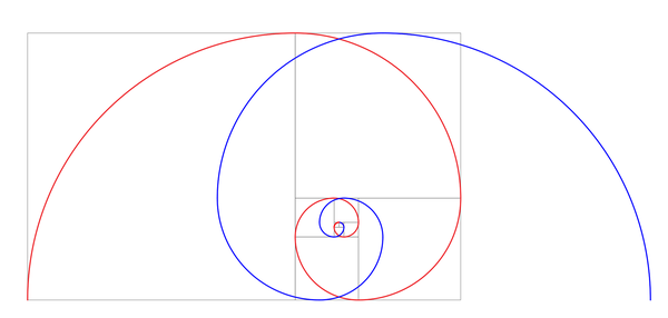 聊一聊斐波那契螺旋