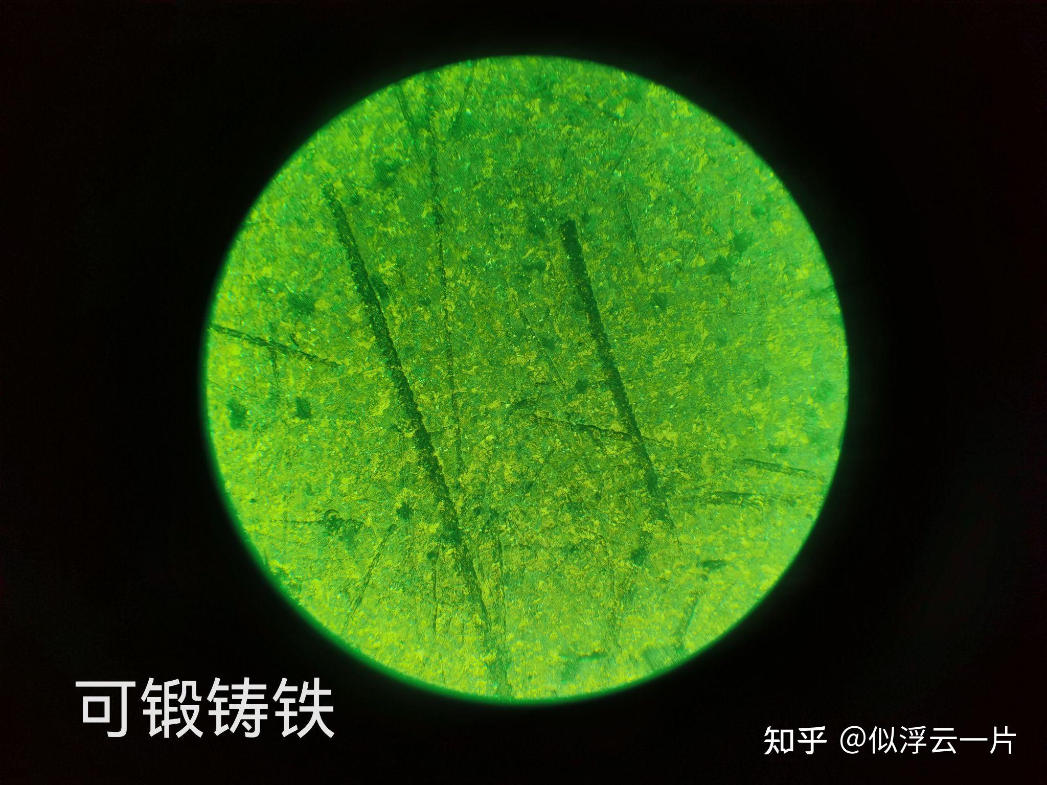 灰口铸铁金相组织图 - 知乎