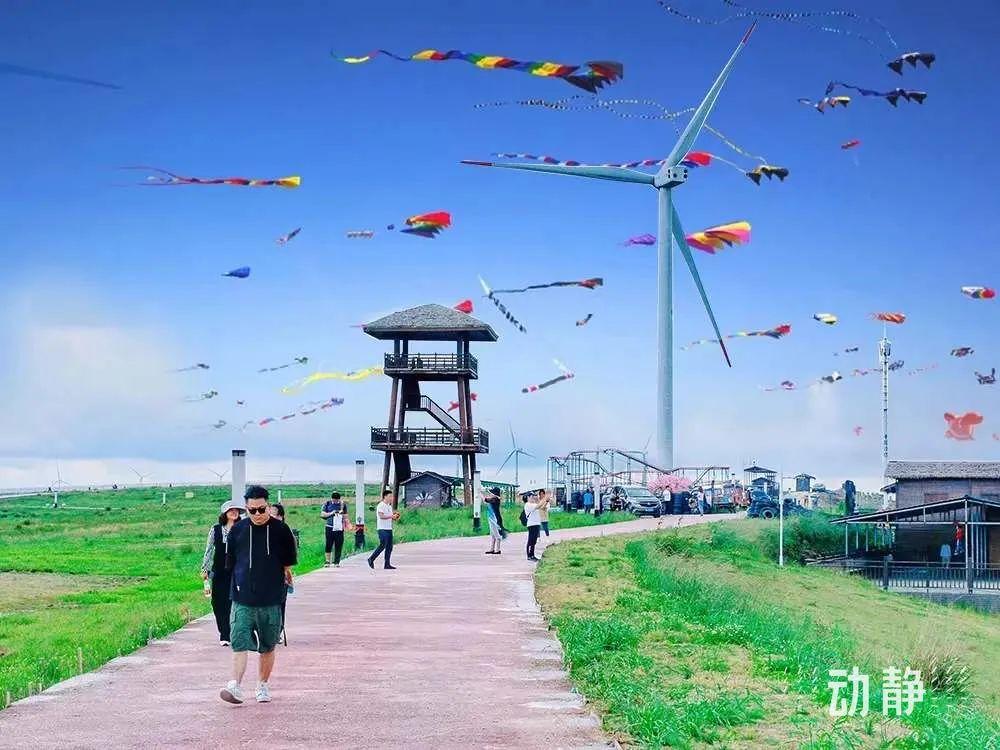 百人打糍粑体验,击鼓祈福,民族祈福仪式,大型风筝特技表演,草原抓鸡