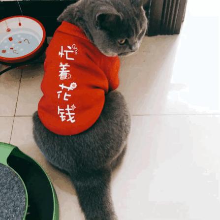 动图封面