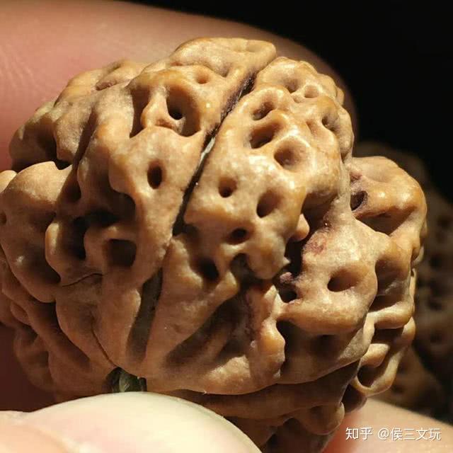 文玩堂：刑天深沟大梅花金刚菩提24+mm 風招 - 青面金剛 | 古美術品専門サイト fufufufu.com