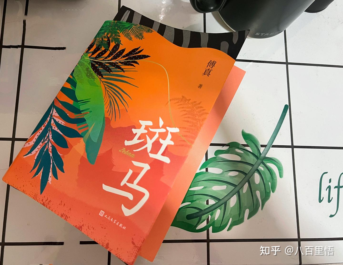 《斑马》傅真著 阅读笔记 - 知乎