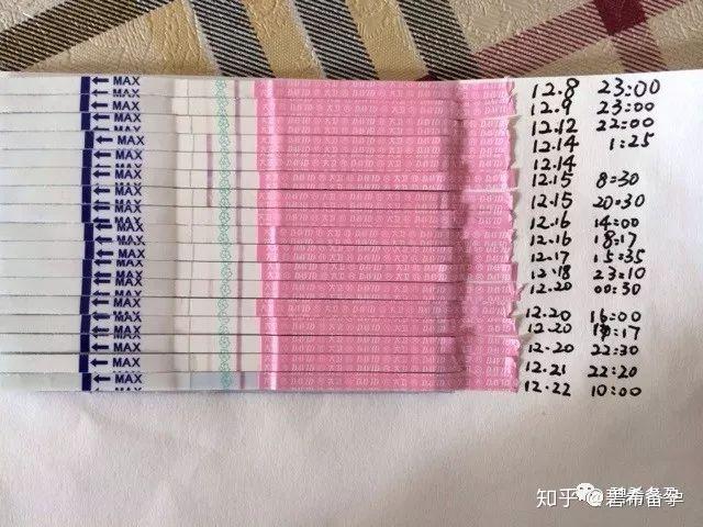 预测排卵时间：排卵试纸法