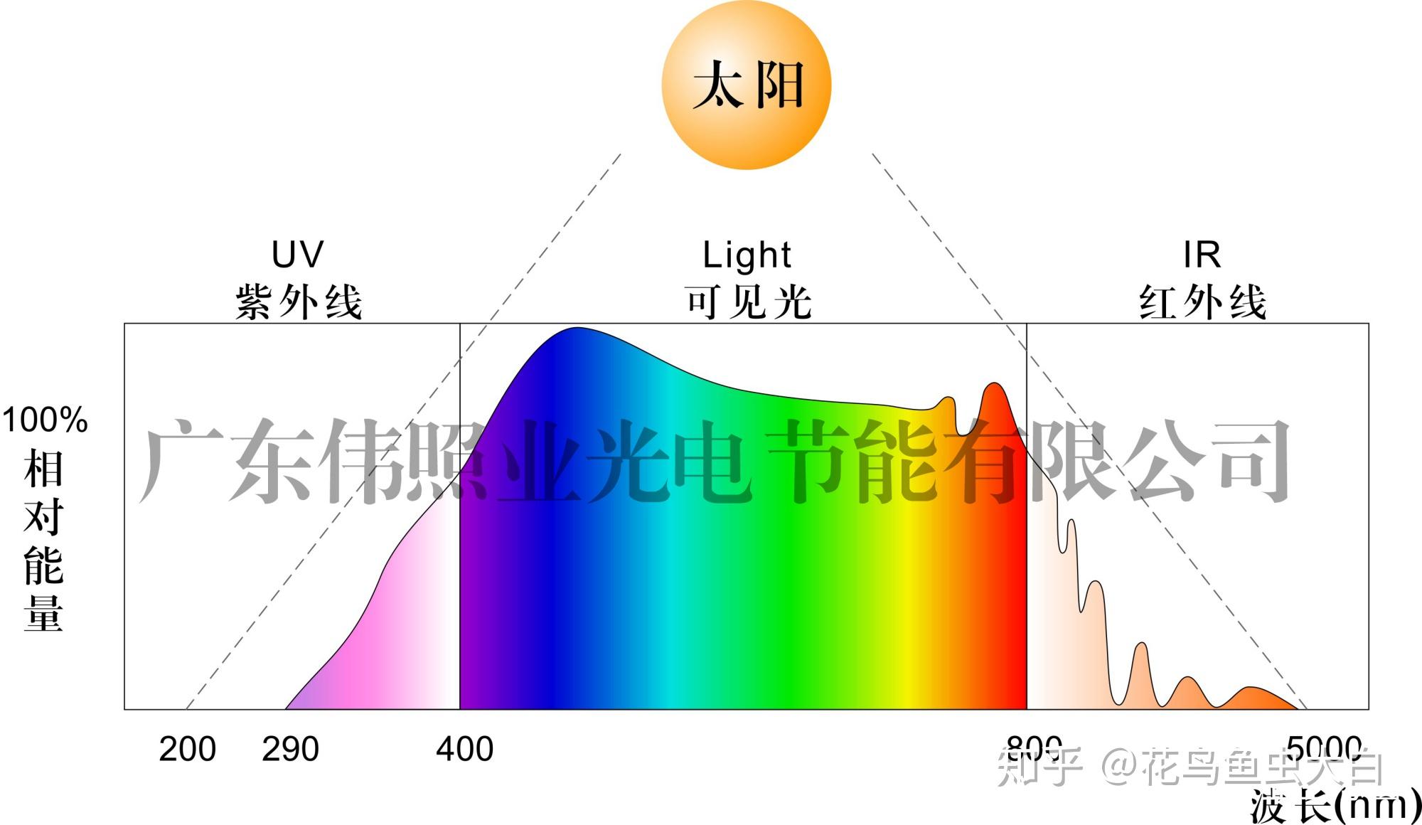 植物生长灯的光谱和光合作用的关系