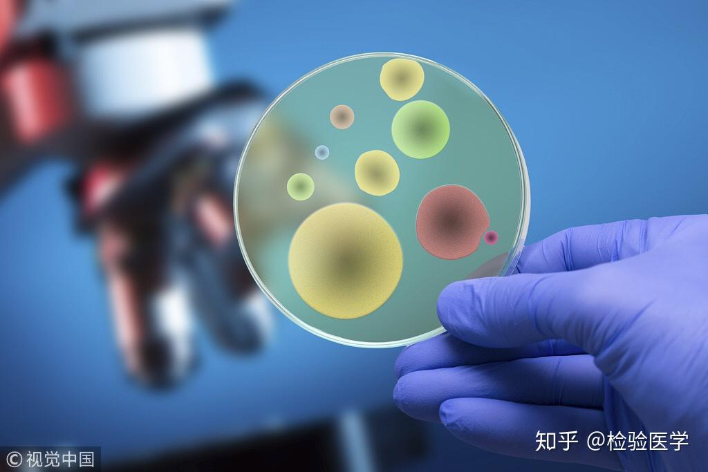 检验科微生物实验室从0到1的过程分享