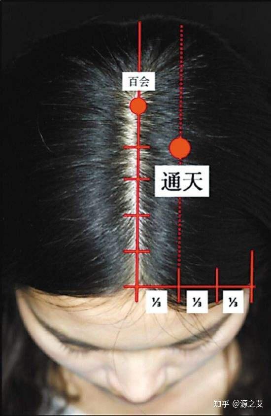 v2-3cb93e04a6f99c8fd9147c8b2ac291c3_r.jpg