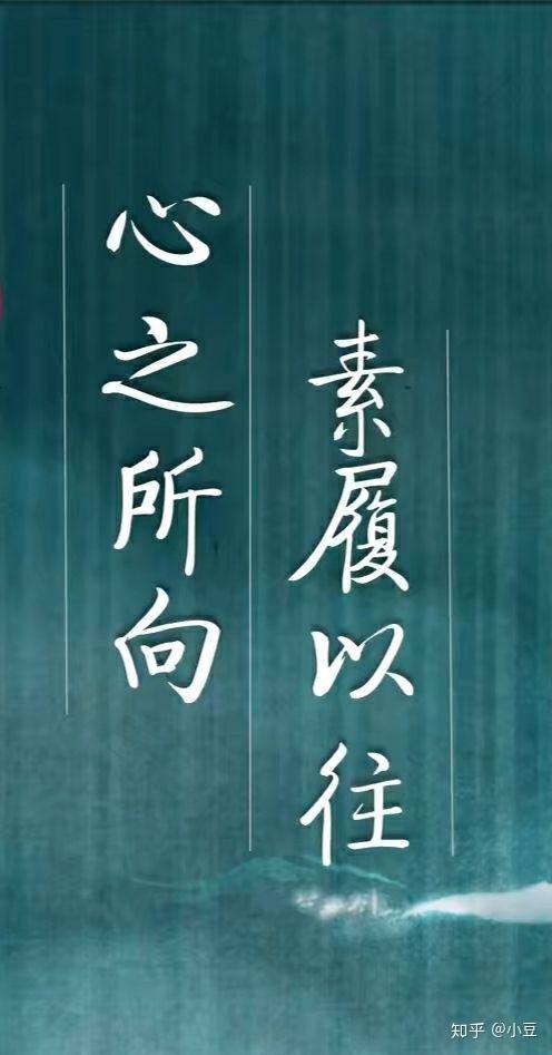 心之所向素履以往