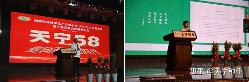 天宁种业:酒粮新秀天宁58,为酿酒而生 - 知乎