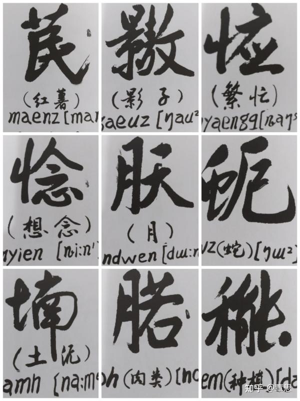 说说壮族文字~方块壮字 - 知乎
