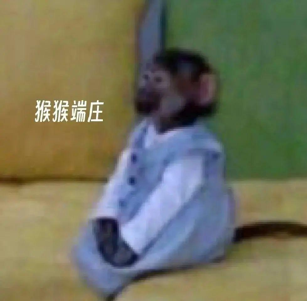 吗喽表情包、猴子表情包,高清无水印 - 知乎