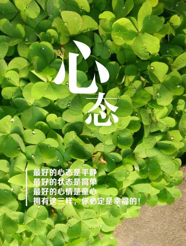 当生活变成了复印机,今天和昨天,明天和今天都一模一样,该是时候停