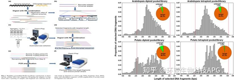 Ddradseq Workflow Pippin系列全自动DNA片段回收系统助力ddRAD-Seq测序进行大规模种群遗传多样性研究 - 知乎